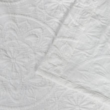 Load image into Gallery viewer, Dainty Home Boheme Medallion Jacquard Textured Soft Polyester Fabric Shower Curtain, 72" x 72"
